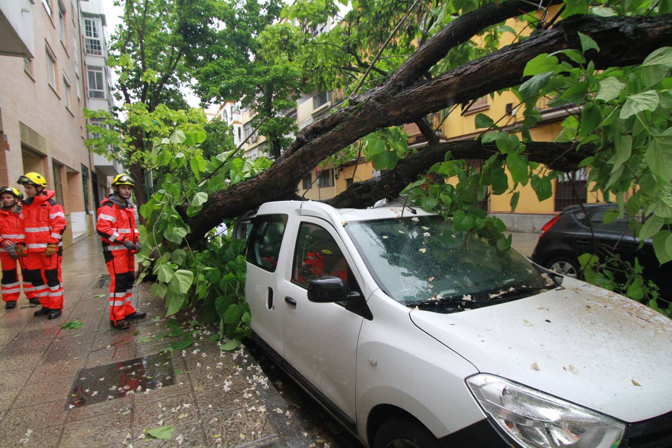 La lluvia provoca decenas de incidencias en Sevilla