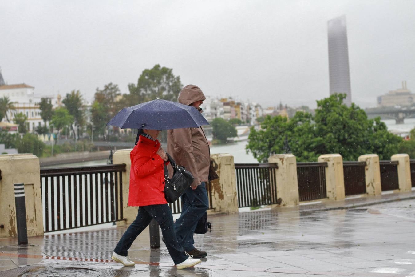 La lluvia provoca decenas de incidencias en Sevilla