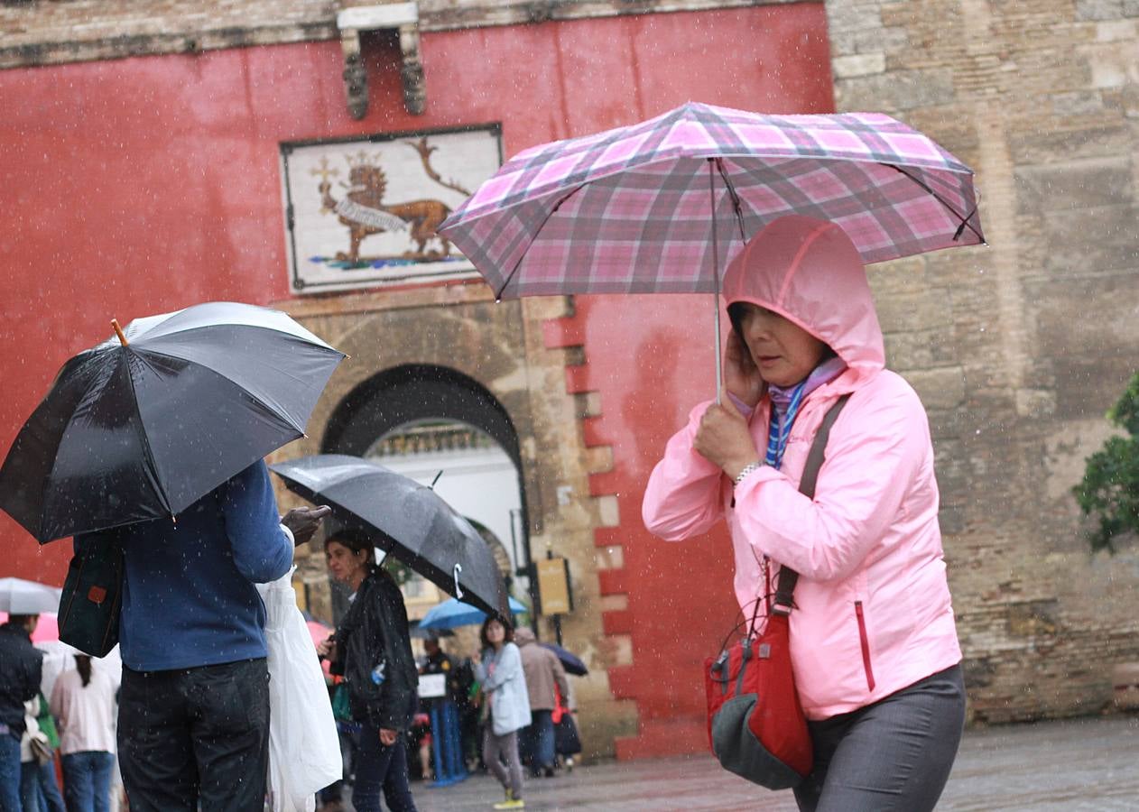 La lluvia provoca decenas de incidencias en Sevilla