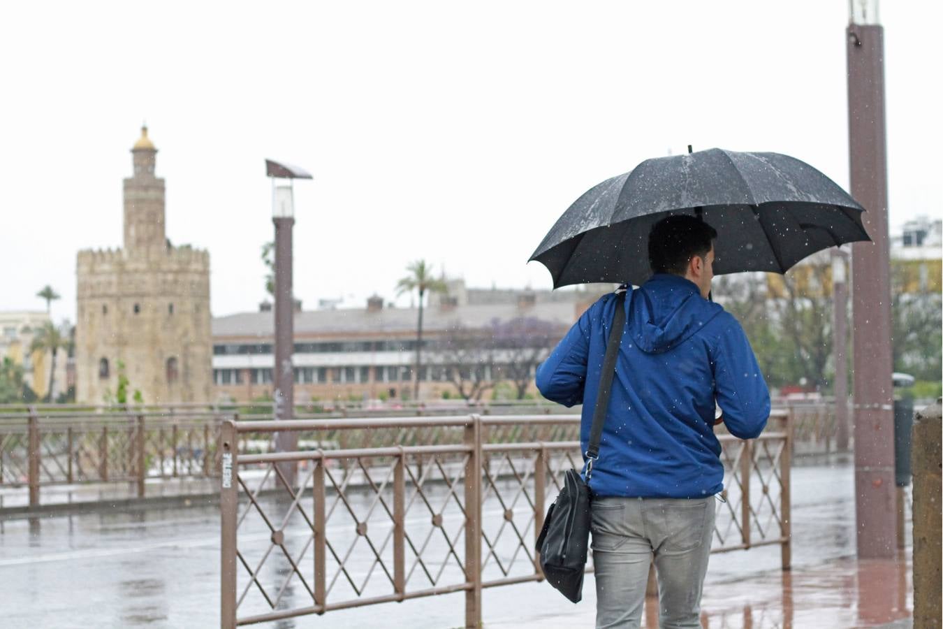 La lluvia provoca decenas de incidencias en Sevilla