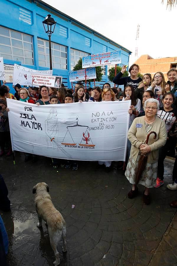 Isla Mayor, a favor de la pesca del cangrejo rojo