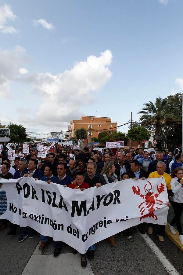 Isla Mayor, a favor de la pesca del cangrejo rojo