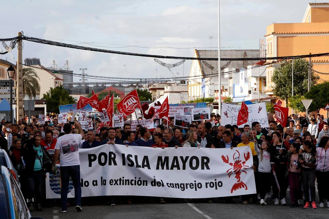 Isla Mayor, a favor de la pesca del cangrejo rojo