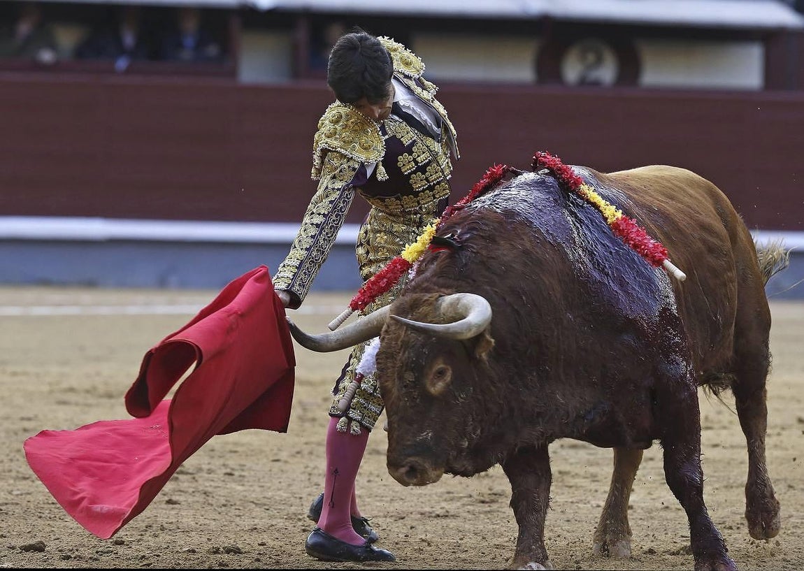 La sangre de Gonzalo Caballero y el triunfo de Morenito, foto a foto