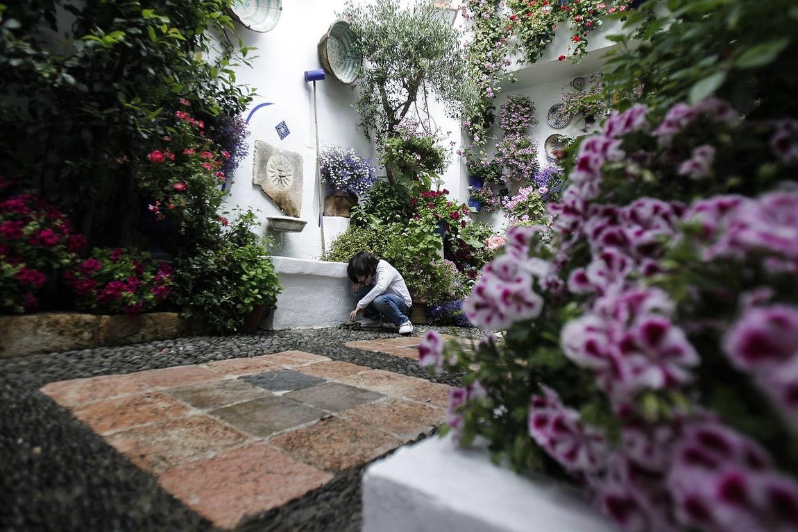 En imágenes, los ganadores del Concurso de Patios 2016