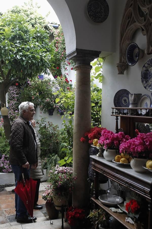 En imágenes, los ganadores del Concurso de Patios 2016