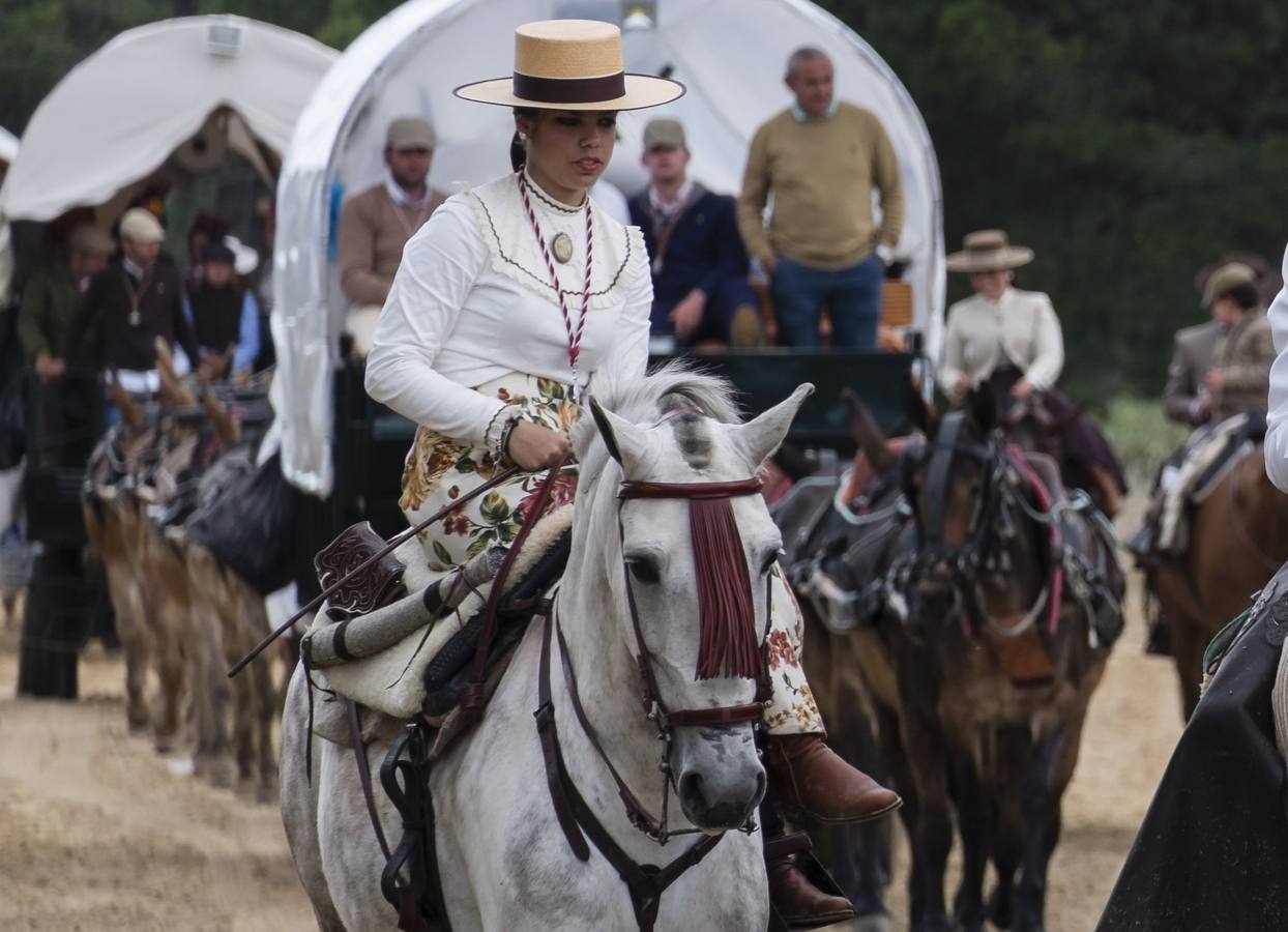 La hermandad de Moguer llegando al Rocío