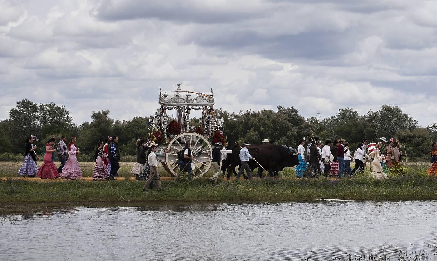 Bonita estampa la que nos dejó la hermandad de La Puebla del Río