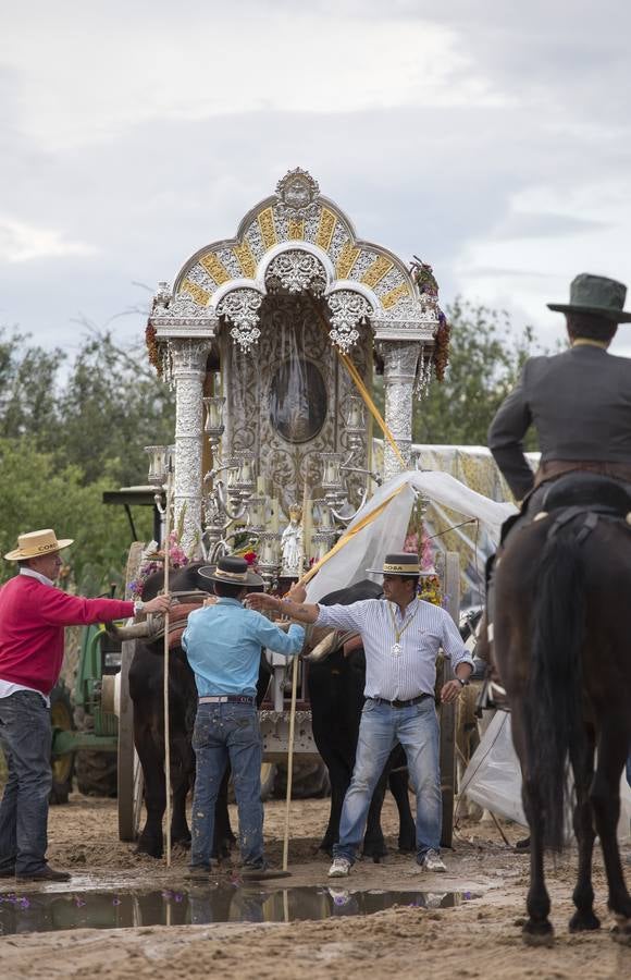 La hermandad de Córdoba en el Rocío