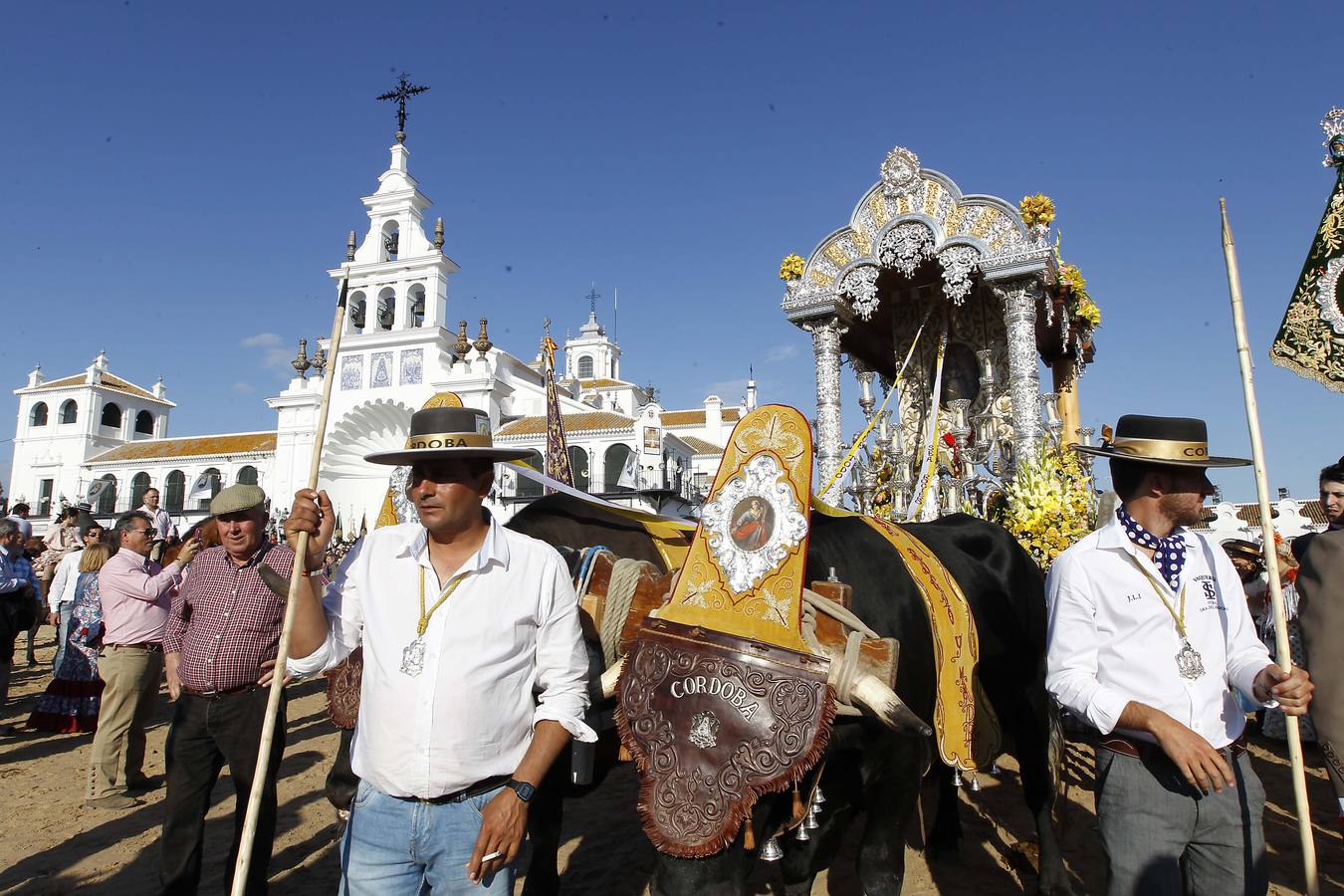 La hermandad de Córdoba en el Rocío