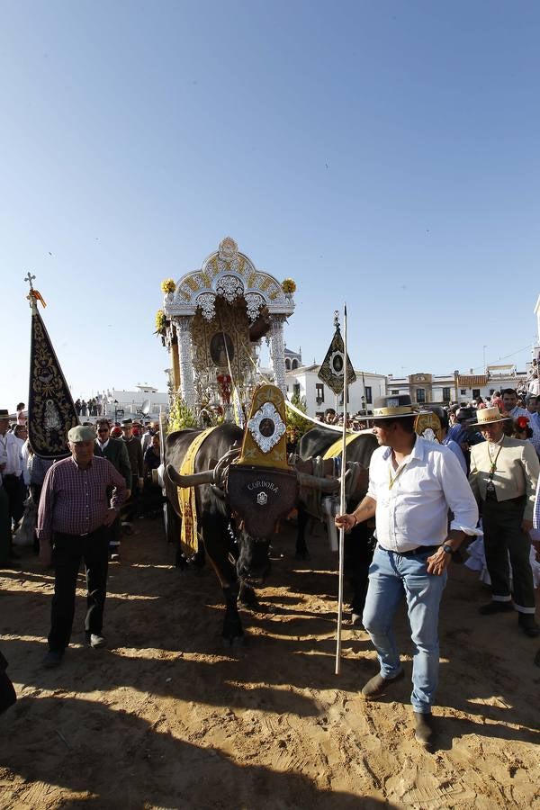 La hermandad de Córdoba en el Rocío