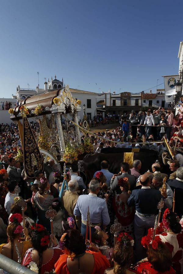 La hermandad de Córdoba en el Rocío