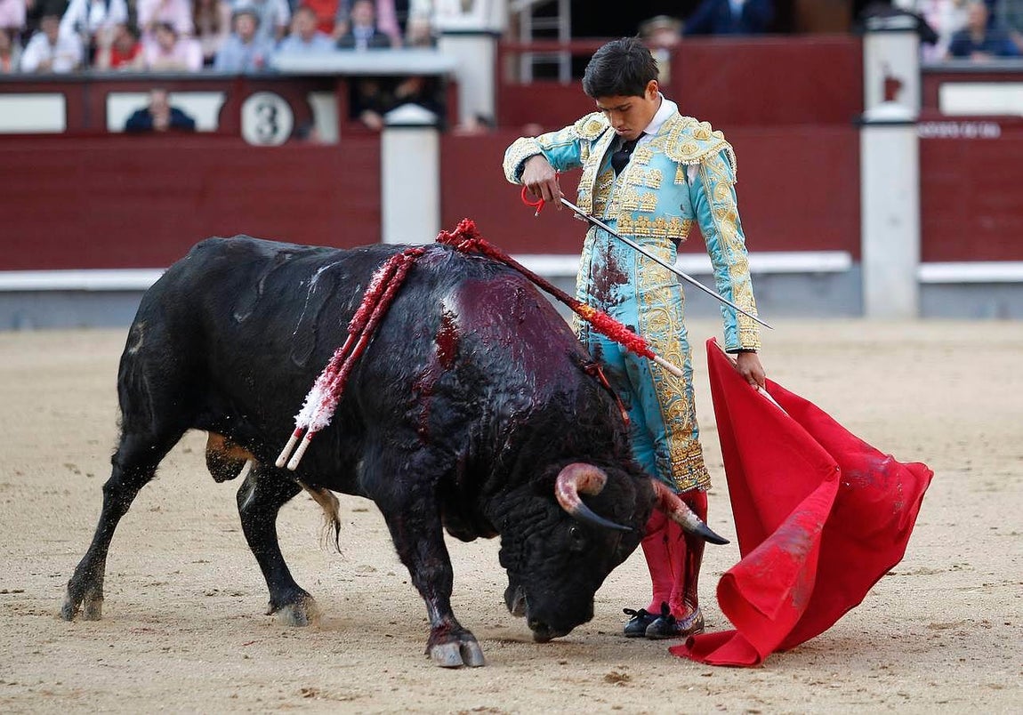 Sangre y orejas de auténticos novilleros en Madrid