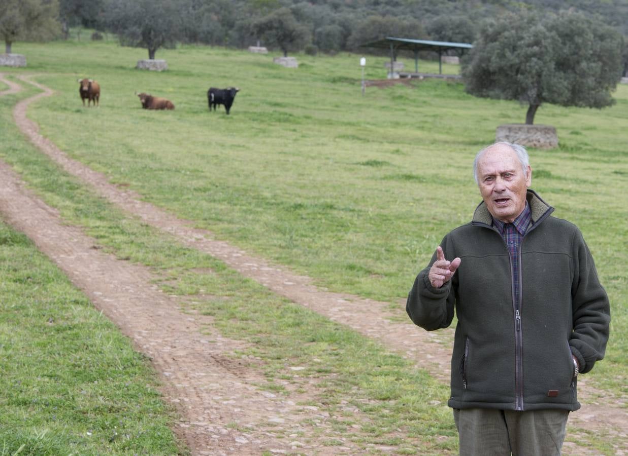 La camada 2016 de Alcurrucén, foto a foto