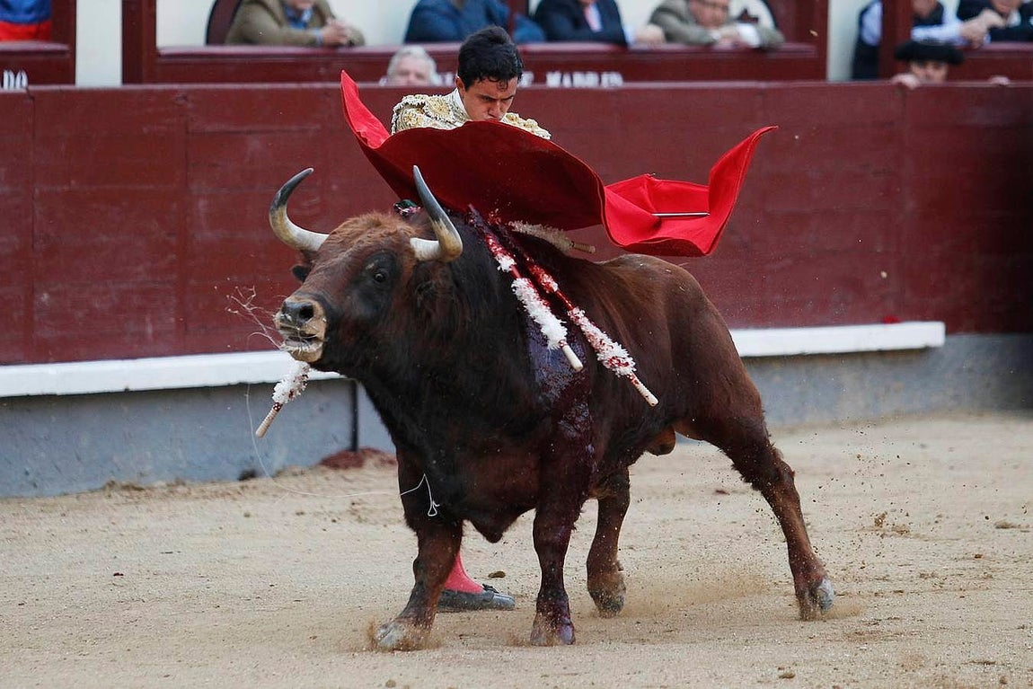 Sangre y orejas de auténticos novilleros en Madrid