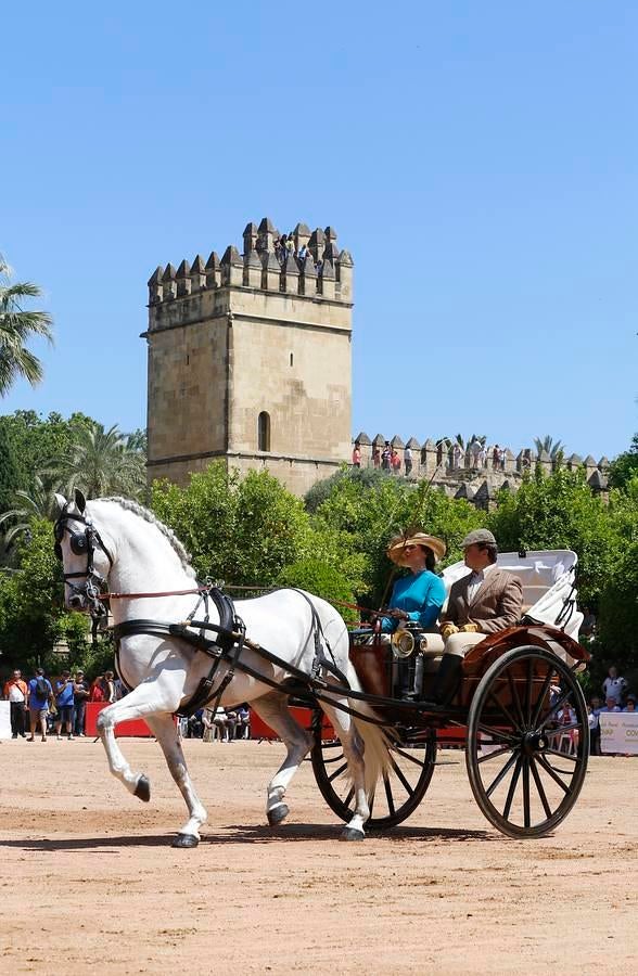 A la Feria de la Salud, a caballo