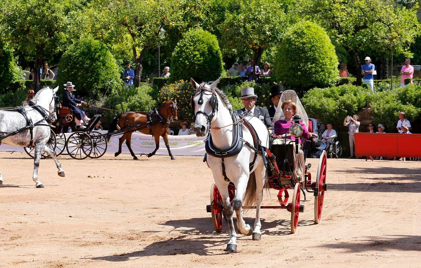 A la Feria de la Salud, a caballo