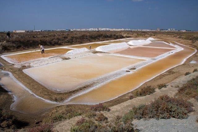 Día Europeo de los Parques: 24 de mayo. 