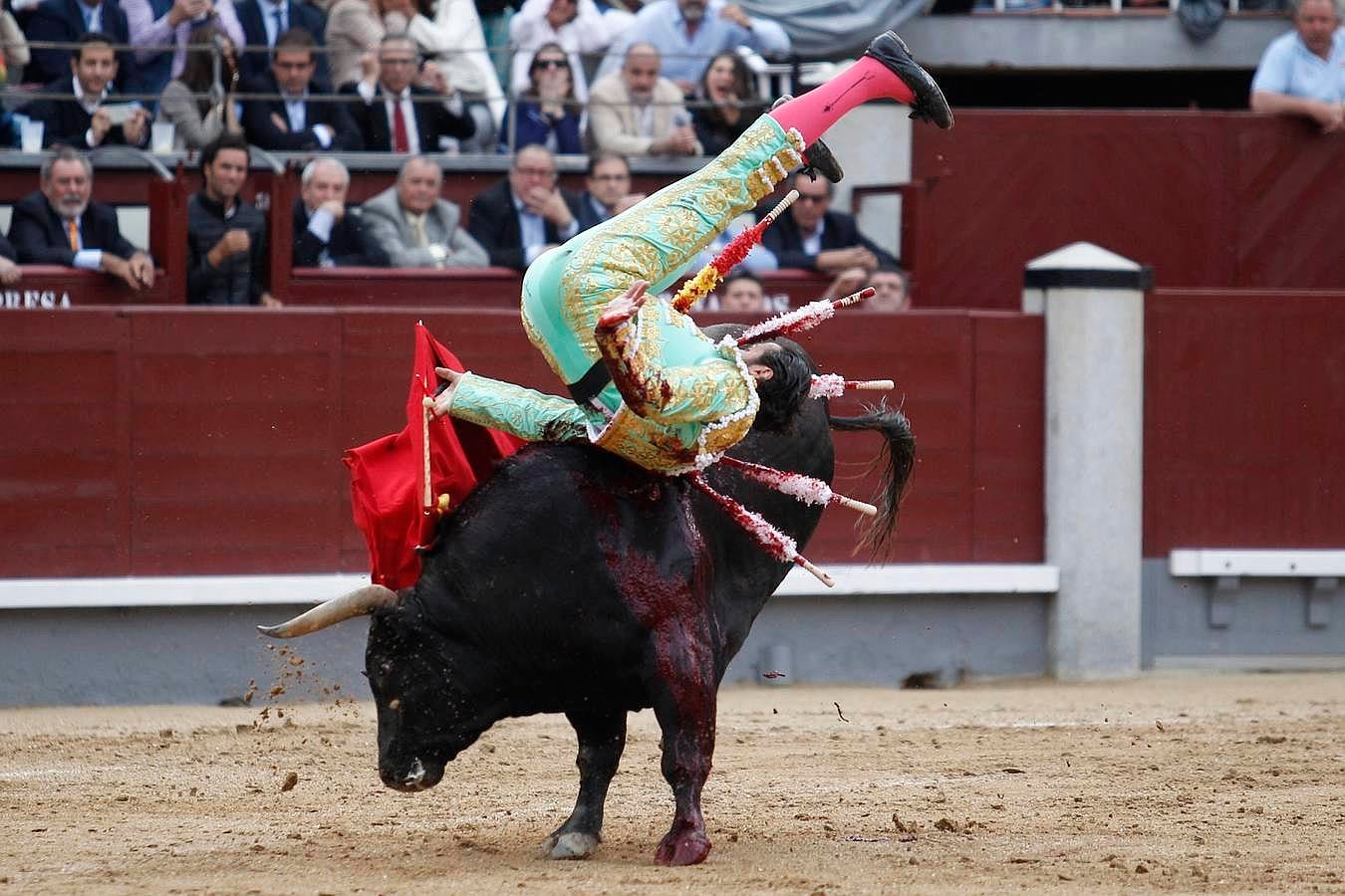 El triunfo de David Mora con un gran alcurrucén en Las Ventas, en imágenes