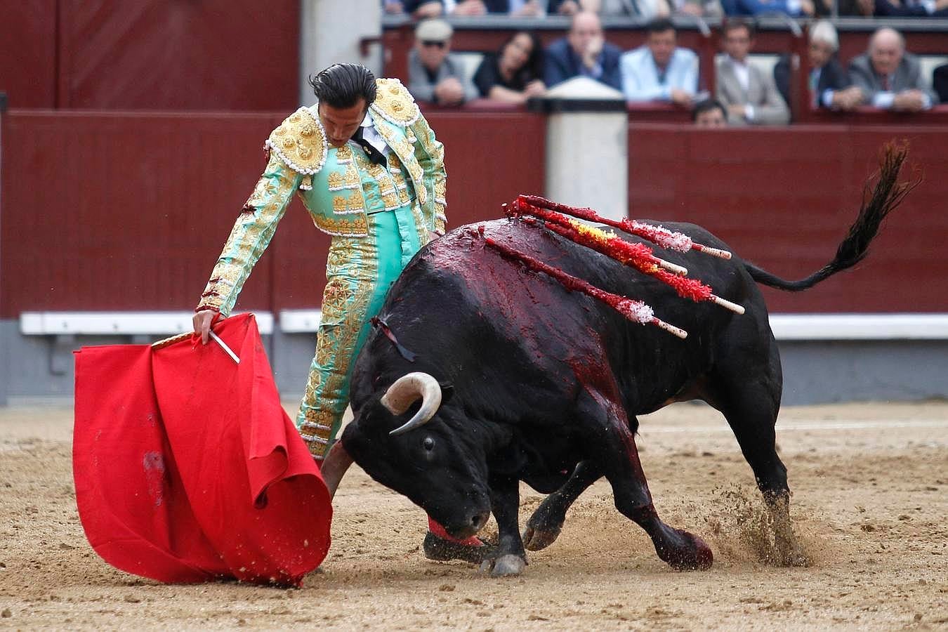 El triunfo de David Mora con un gran alcurrucén en Las Ventas, en imágenes