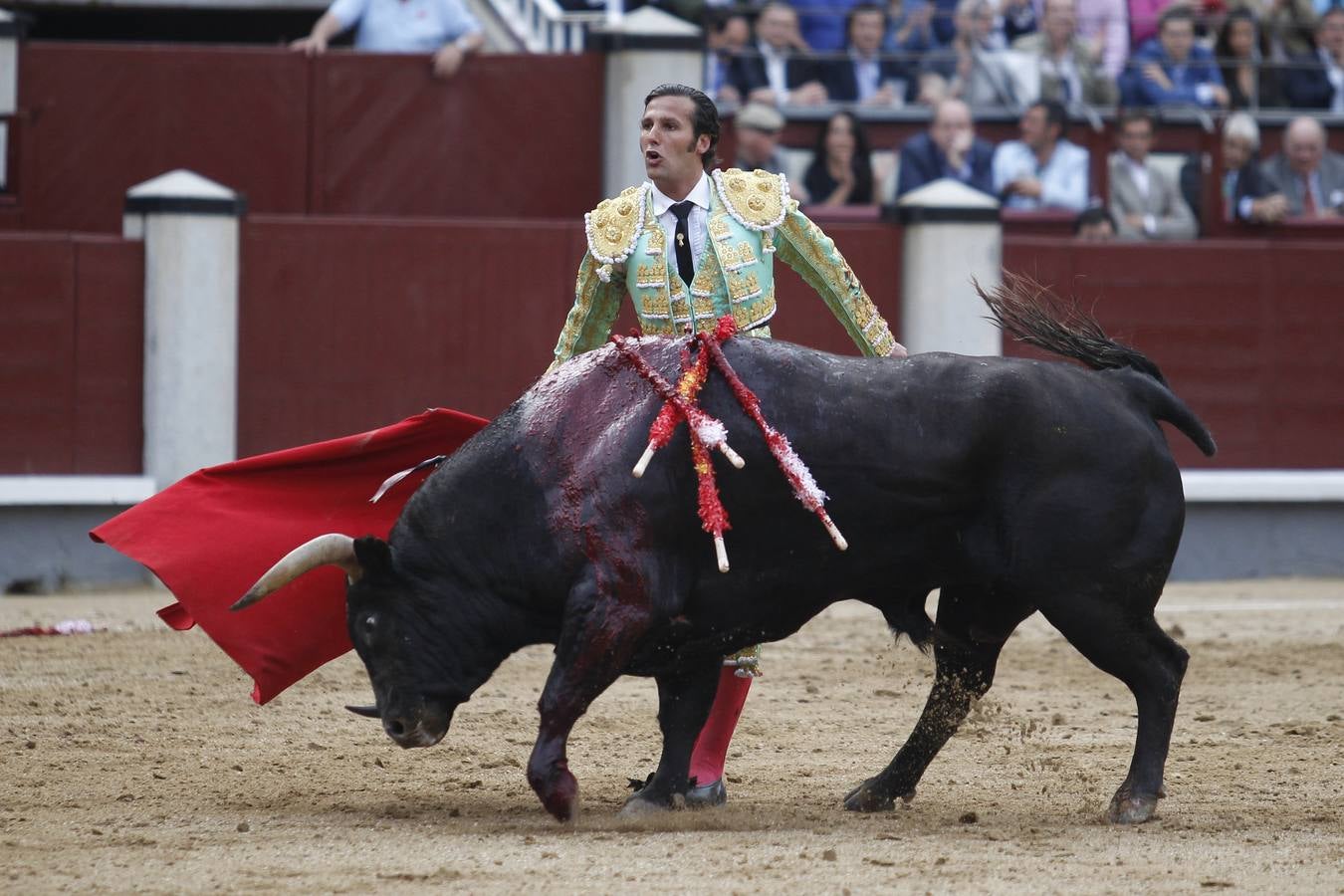 El triunfo de David Mora con un gran alcurrucén en Las Ventas, en imágenes