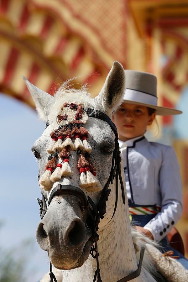 La Feria de Córdoba desde la grupa de un caballo