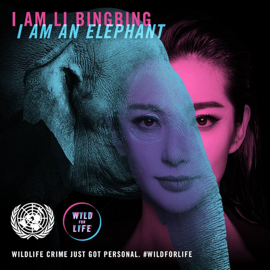 «Vuélvete salvaje por la vida»: Día Mundial del Medio Ambiente 2016. La actriz y cantante Li Bingbing es un elefante