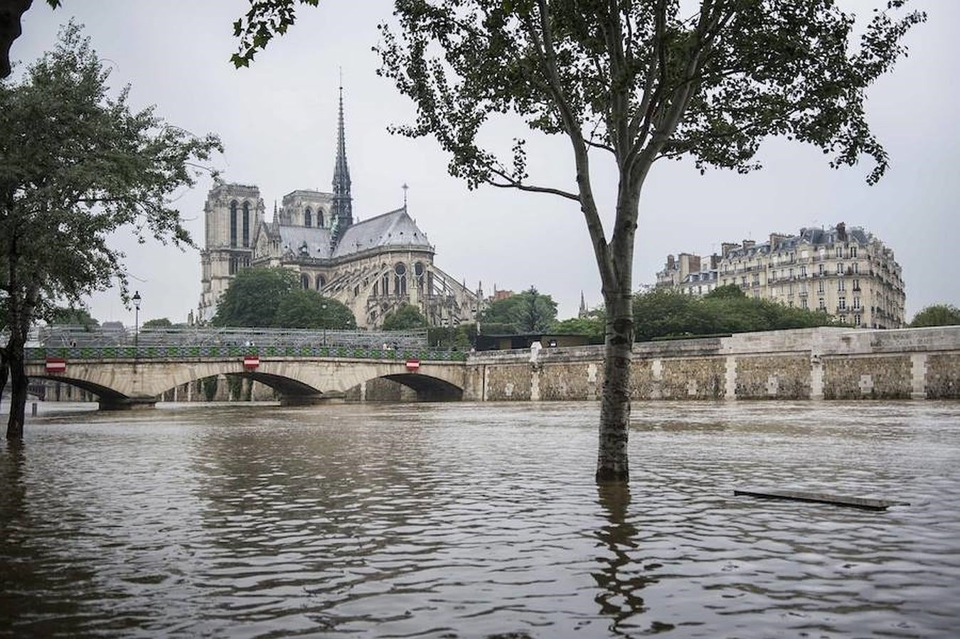 Vista general de la catedral de Notre Dame de París desde la orilla del Sena en París, Francia. 