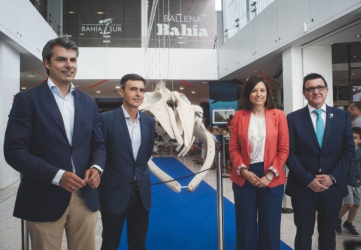 Bahía Sur expone la ballena varada