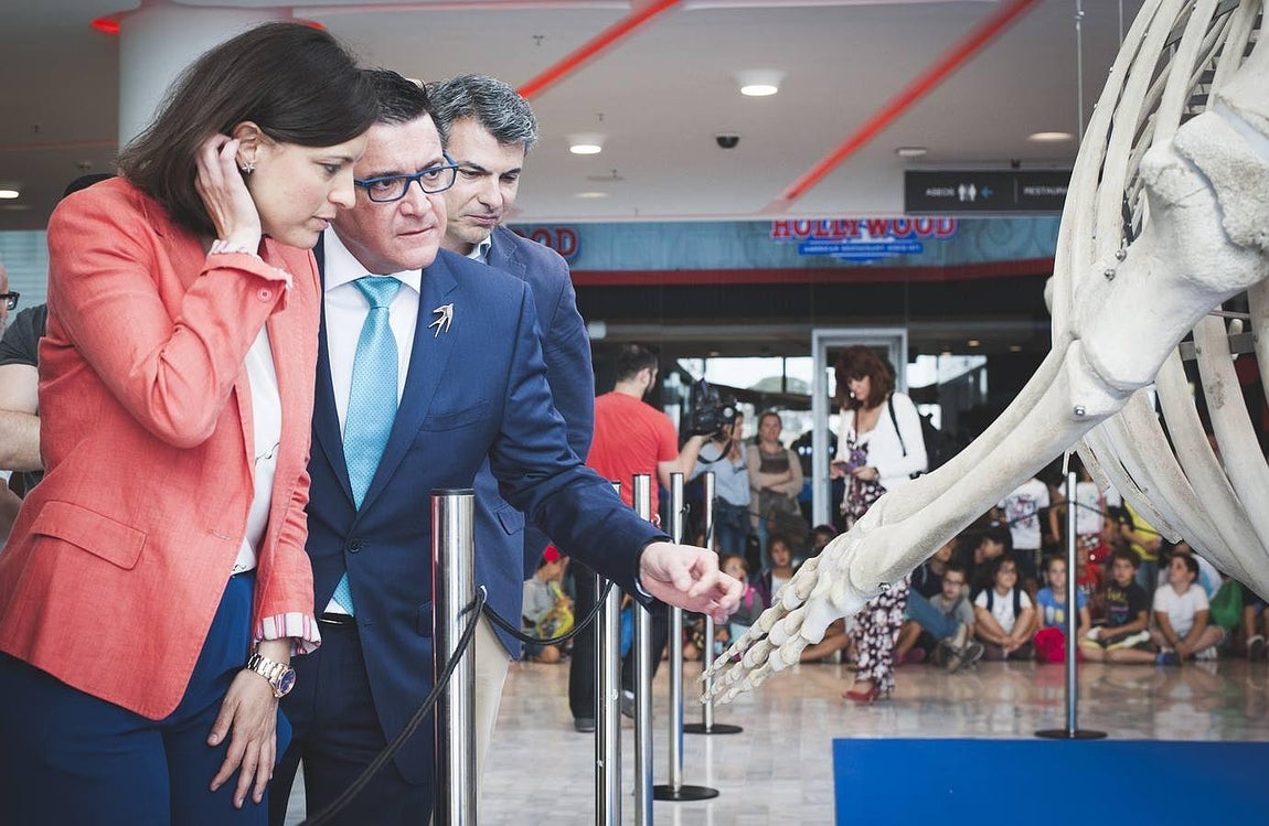 Bahía Sur expone la ballena varada