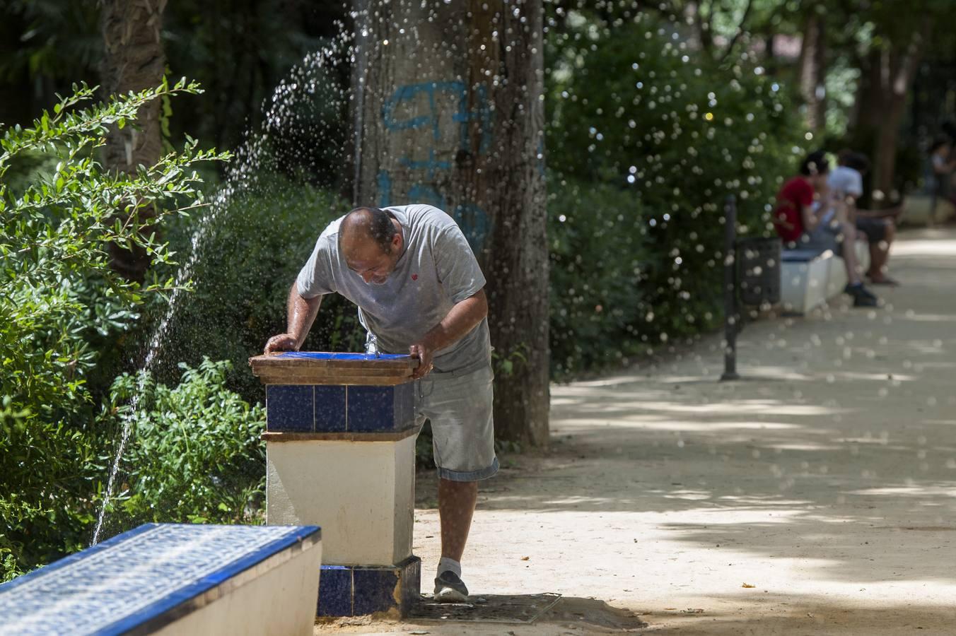 El verano asoma ya en Sevilla