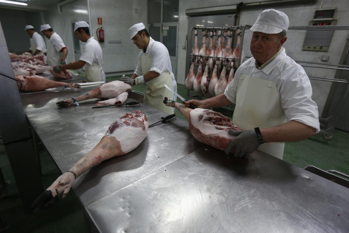 Visita de Rajoy a Jerez en la precampaña para el 26 de junio