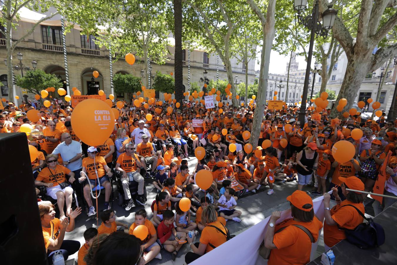 La marcha contra la ELA ha ido desde los Jardines de Murillo hasta la Plaza Nueva pasando por la calle San Fernando y la Avenida de la Constitución