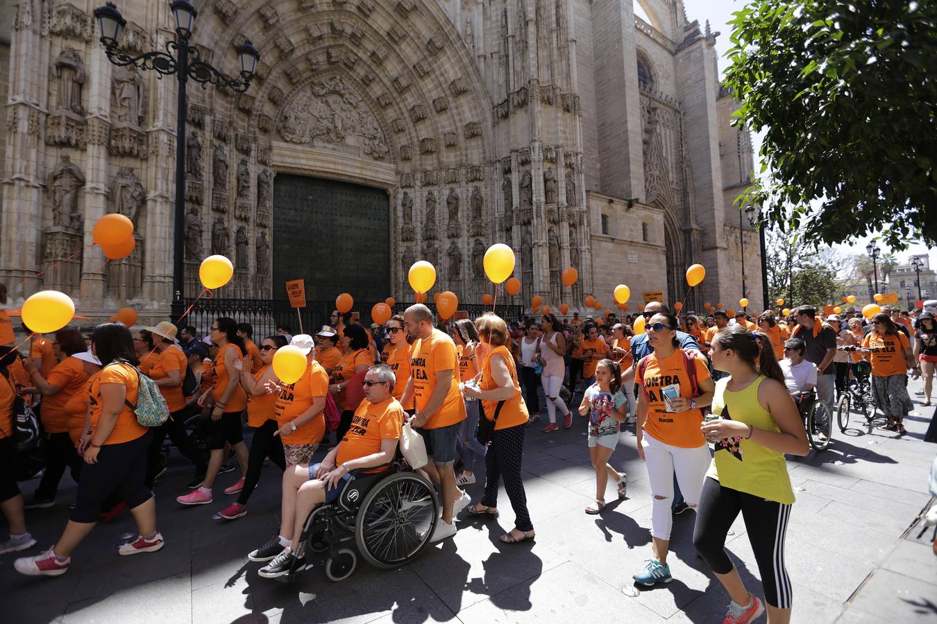 La marcha contra la ELA ha ido desde los Jardines de Murillo hasta la Plaza Nueva pasando por la calle San Fernando y la Avenida de la Constitución