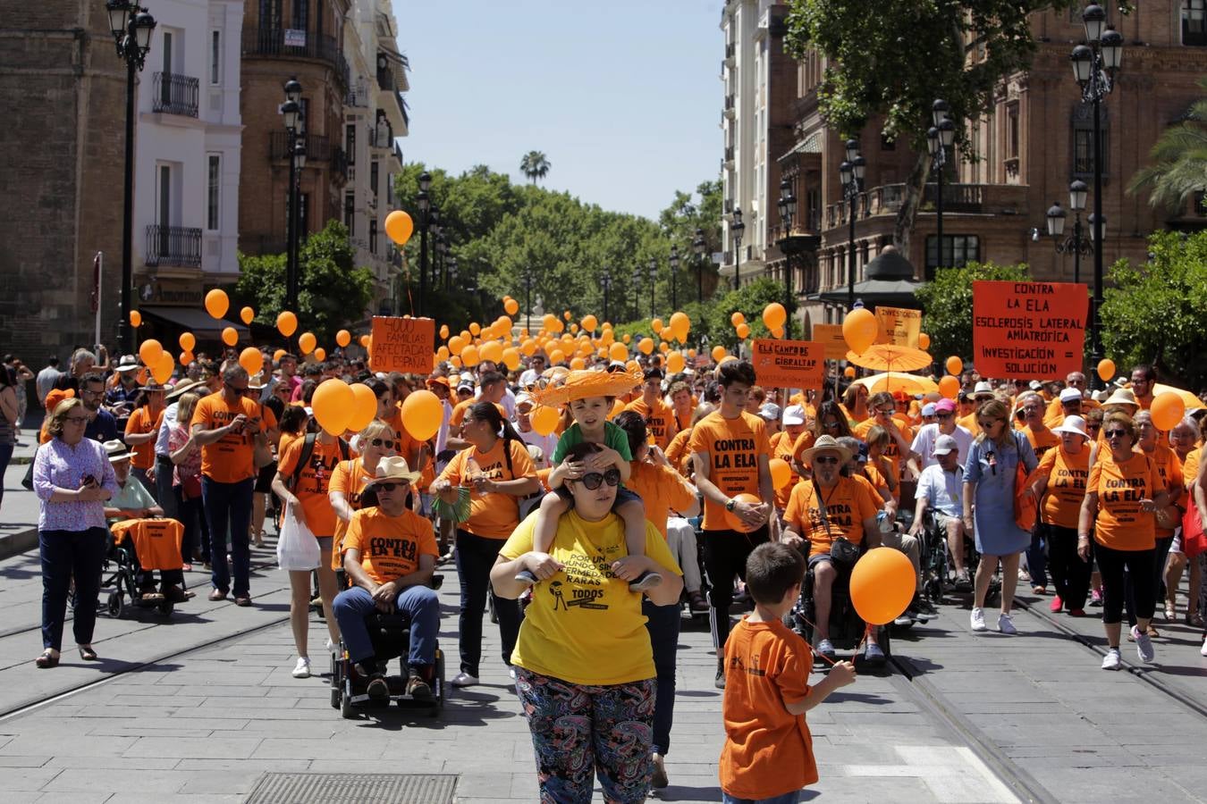 La marcha contra la ELA ha ido desde los Jardines de Murillo hasta la Plaza Nueva pasando por la calle San Fernando y la Avenida de la Constitución