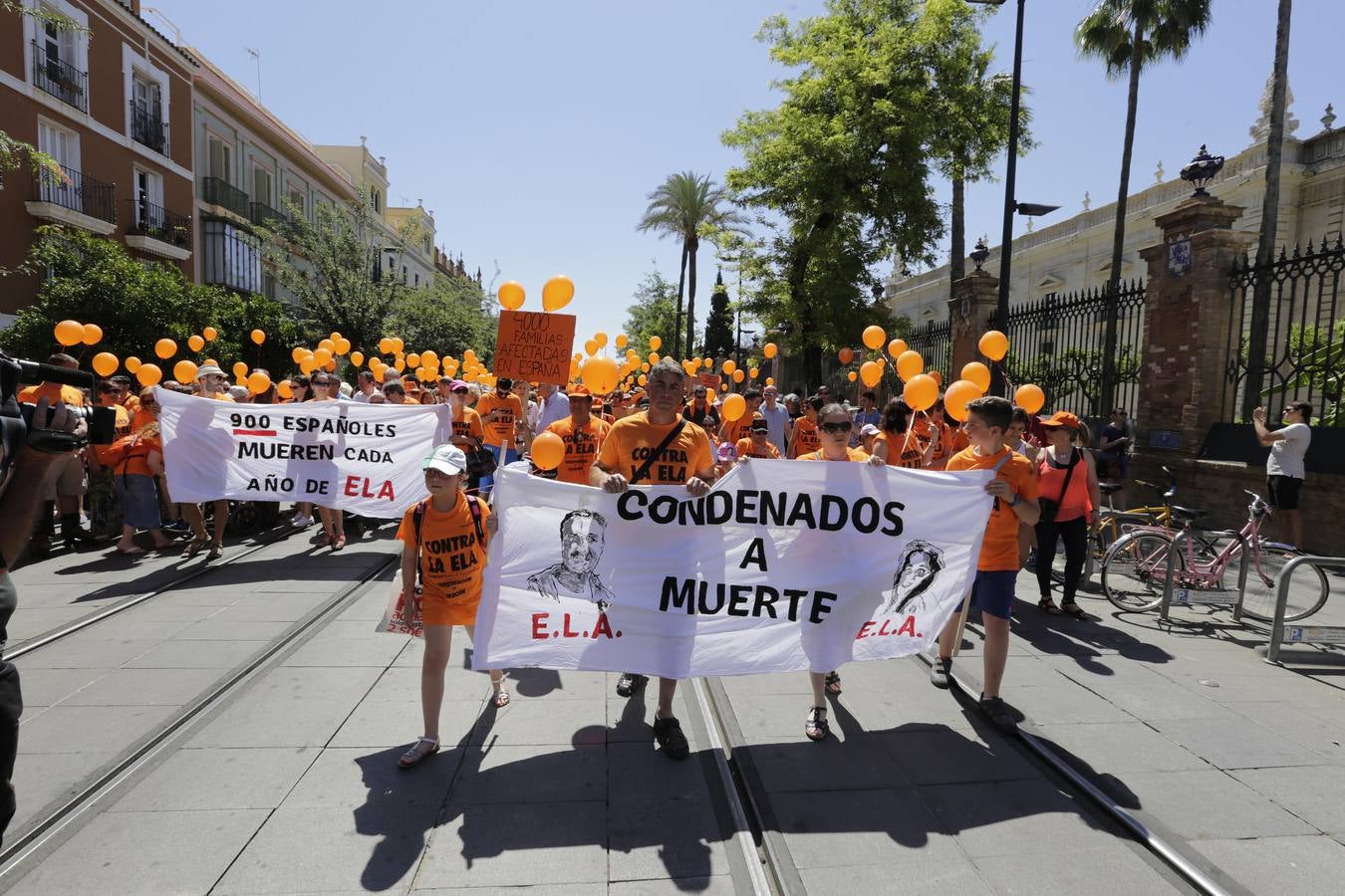 La marcha contra la ELA ha ido desde los Jardines de Murillo hasta la Plaza Nueva pasando por la calle San Fernando y la Avenida de la Constitución