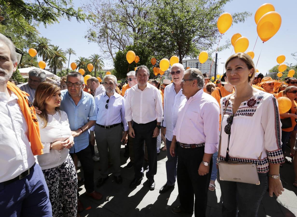 La marcha contra la ELA ha ido desde los Jardines de Murillo hasta la Plaza Nueva pasando por la calle San Fernando y la Avenida de la Constitución