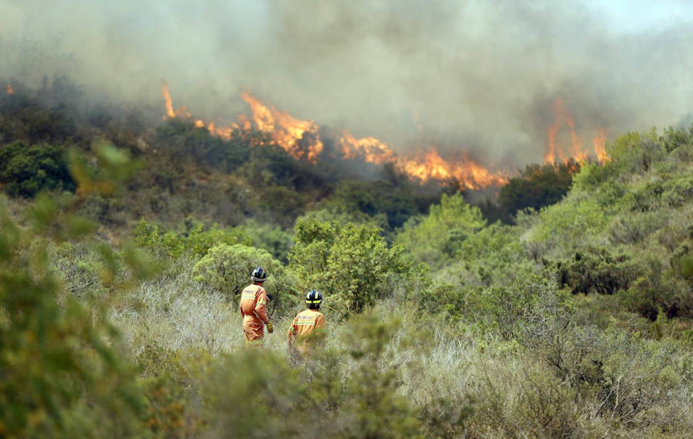 Tareas de extinción del incendio declarado en Bolbaite