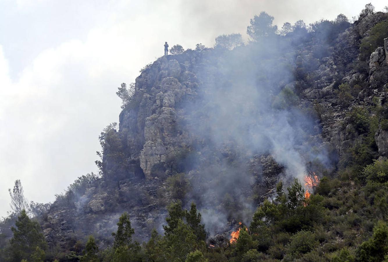 Un brigada forestal observa, desde una loma, el frente del incendio forestal que afecta a la localidad de Carcaixent