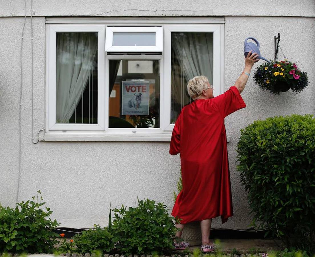 Muchos ingleses han colocado pancartas de apoyo al Brexit o al Remain en sus hogares