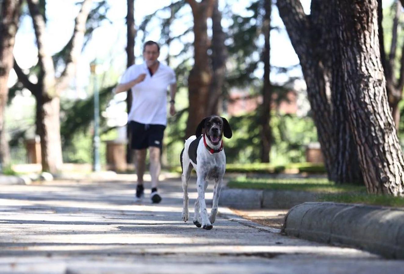 «Un poco de deporte con mi perro Rico antes de pasar un agradable día en familia», ha tuiteado Mariano Rajoy