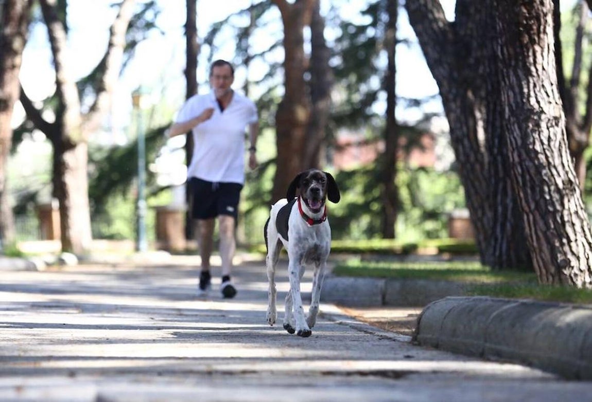 «Un poco de deporte con mi perro Rico antes de pasar un agradable día en familia», ha tuiteado Mariano Rajoy. 