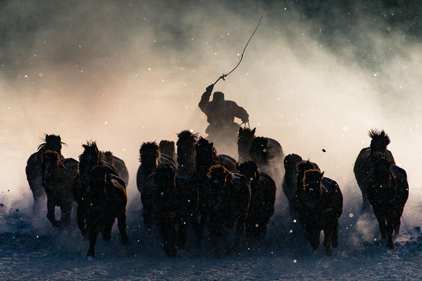 Winter Horseman, Mongolia