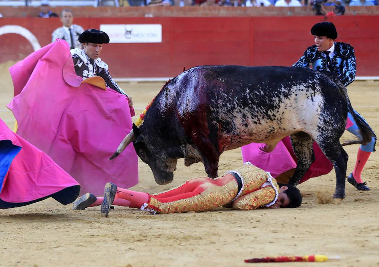 Intentan distraer al toro del cuerpo del matador. 