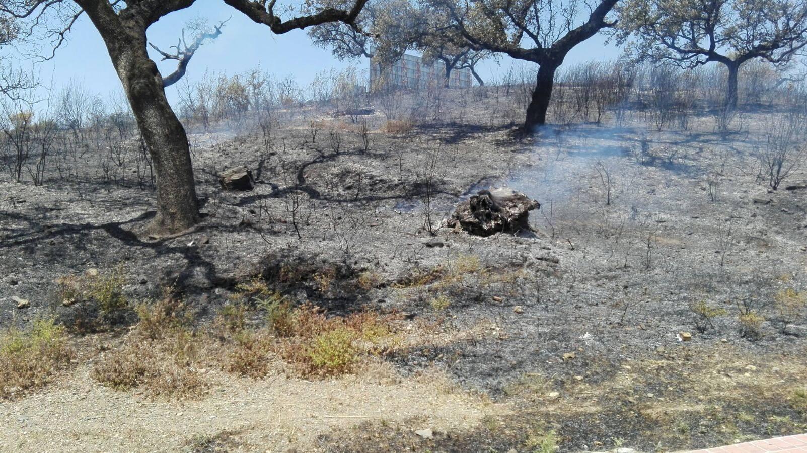 Un incendio de pastos obliga a desalojar la piscina del Ronquillo