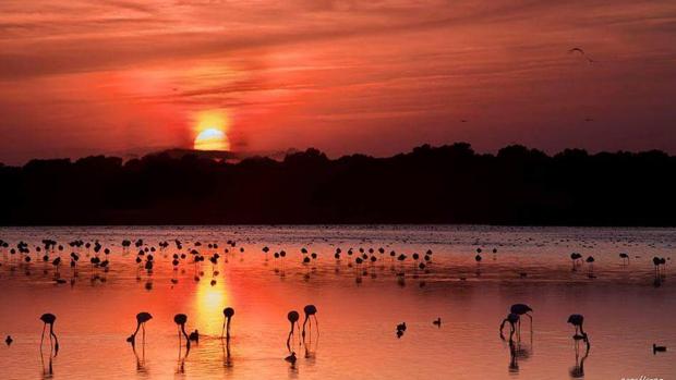 Los atardeceres más espectaculares de los lectores de ABC (II)