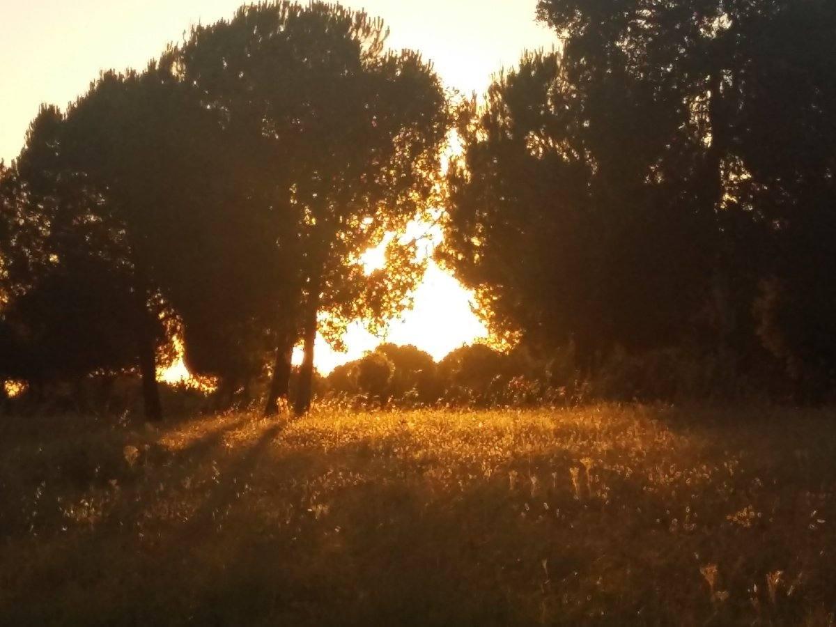 Parque Tamarguillo (Sevilla)