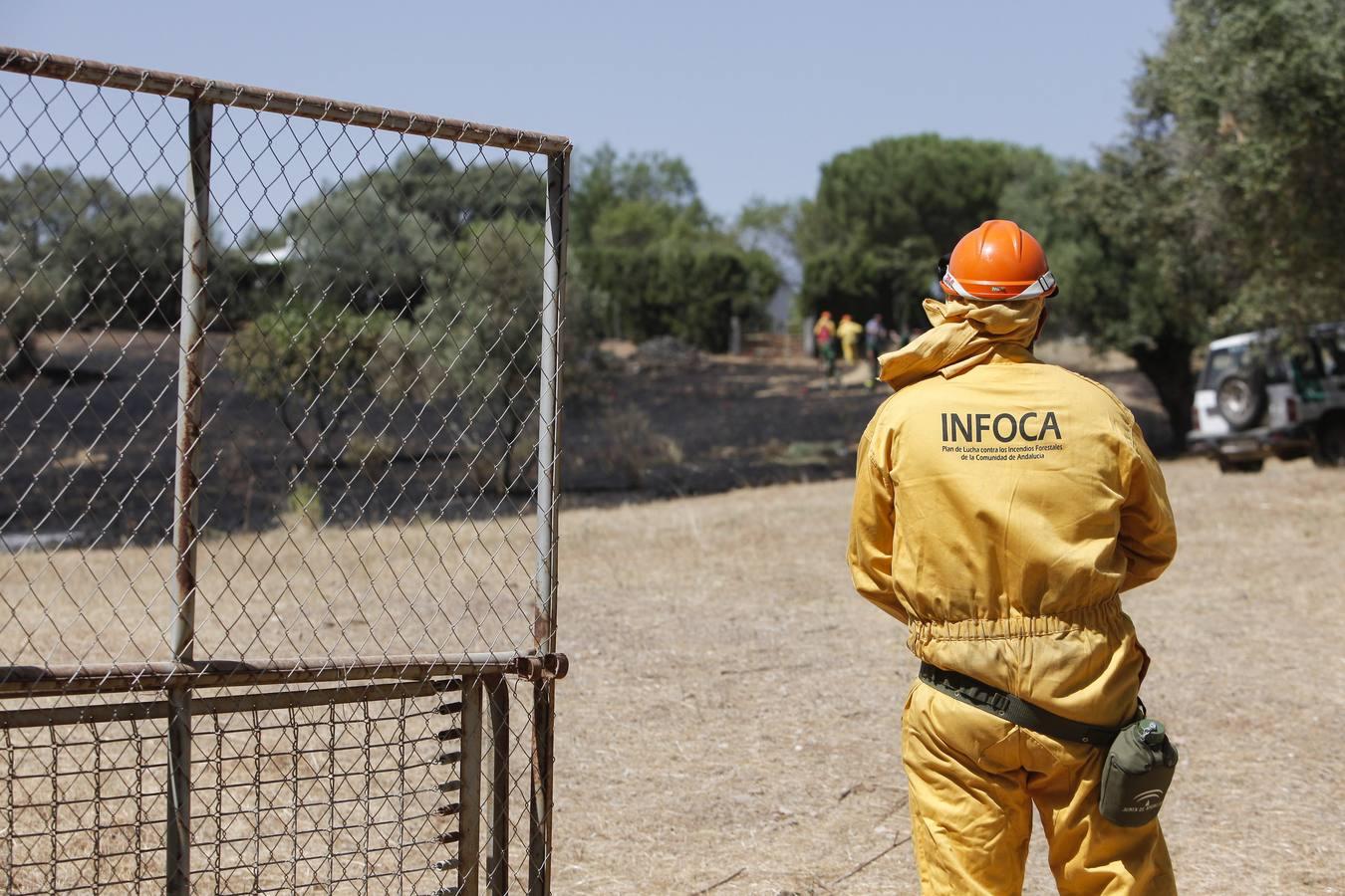 El incendio forestal de las Siete Fincas, en imágenes