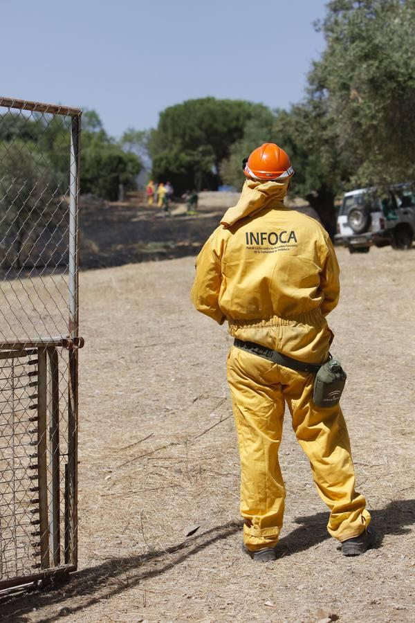 El incendio forestal de las Siete Fincas, en imágenes