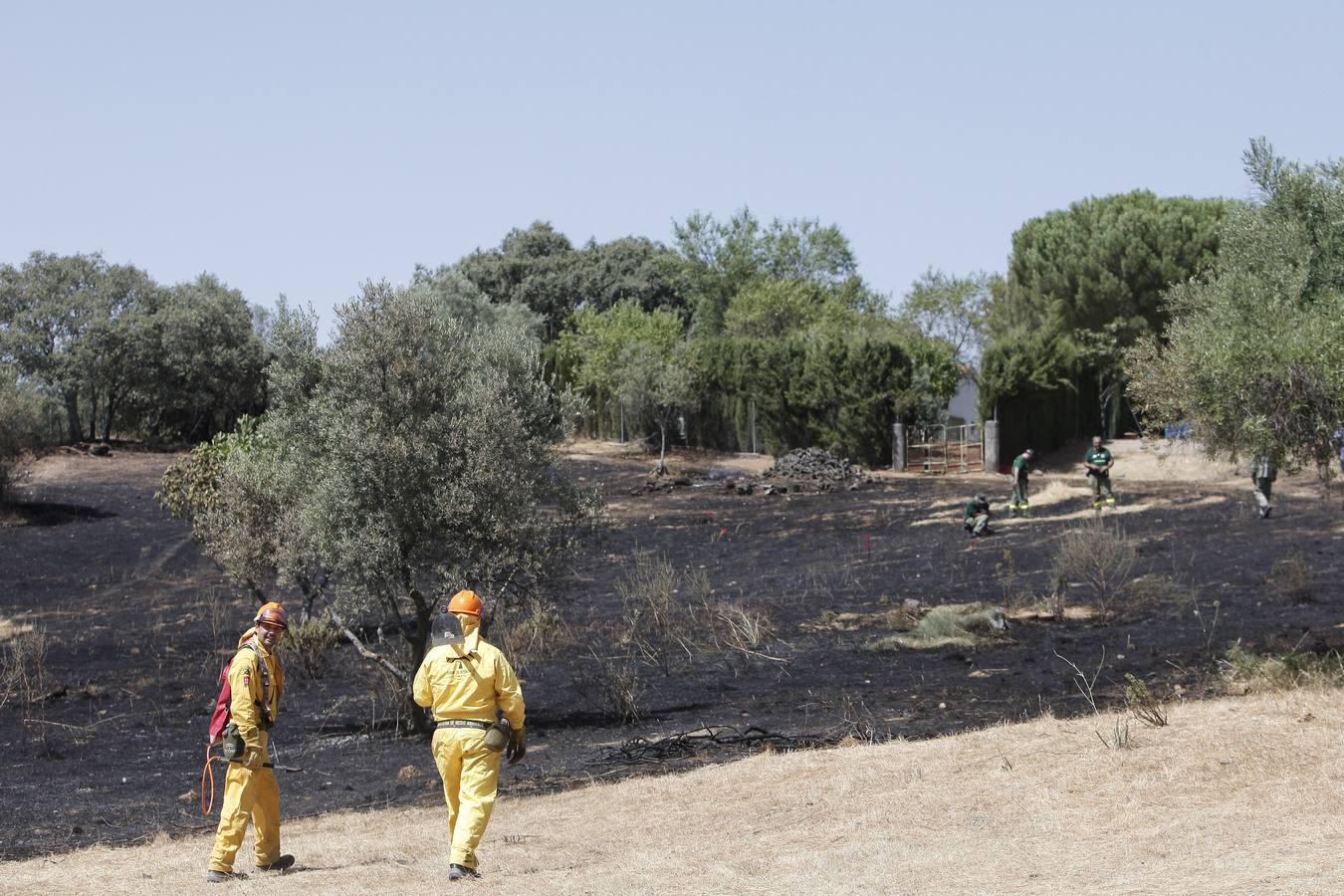 El incendio forestal de las Siete Fincas, en imágenes